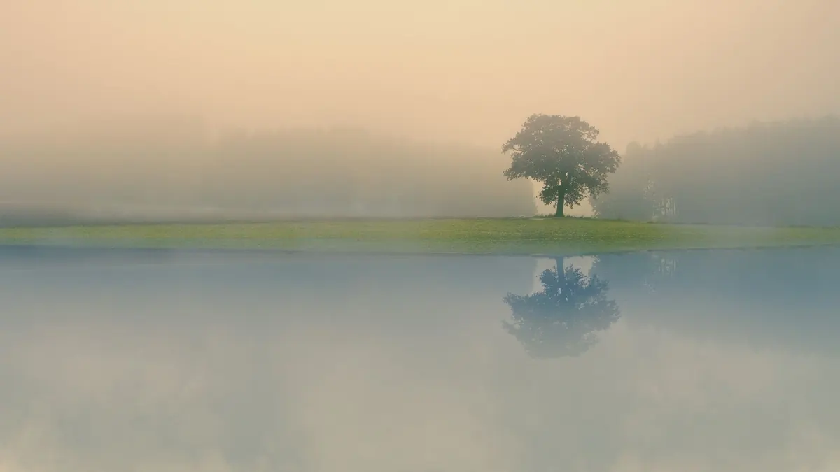 What Is Soft Worldbuilding? A Guide for Speculative Fiction Writers